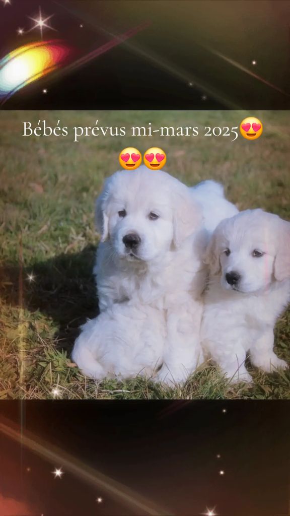 des Vignes du Broca - Bébés prévus en mars 2025